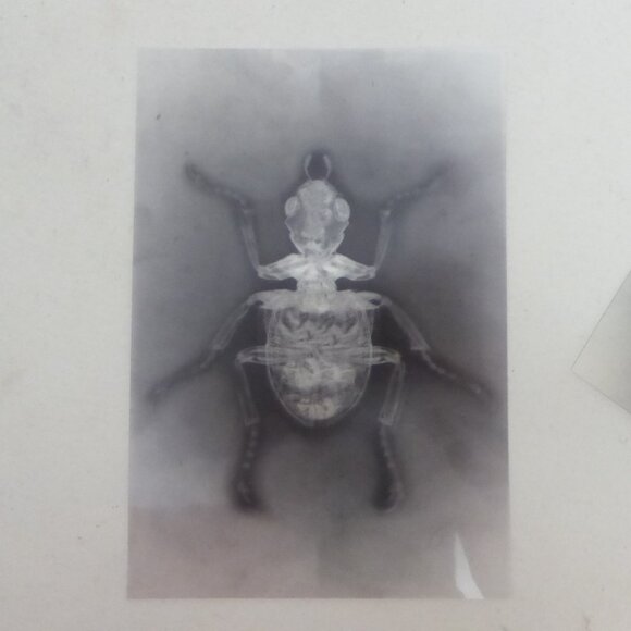 6” x 4” 24 HALLOWEEN ACETATE PLASTIC PAPER X-RAY IMAGE PAD - Picture 9 of 10